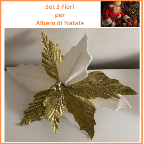 Set fiori natalizi per - fiori,