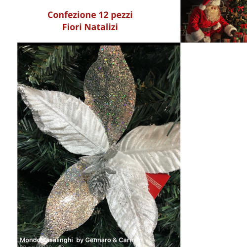 Set fiori natalizi - set, 12