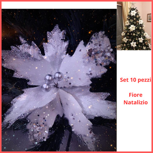 Set fiori natalizi - set,